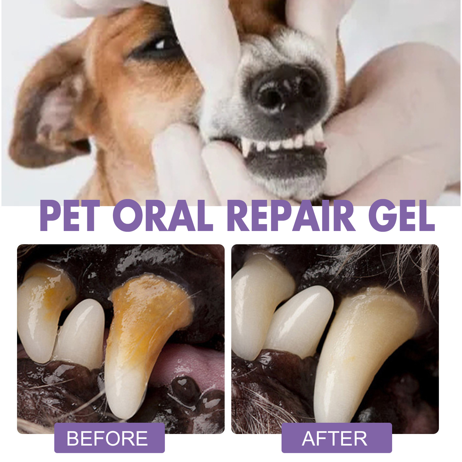 Pet Oral Repair Gel Puppy Tart - Teeth Whitening Levels 评论和价格